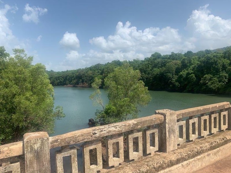 Dandeli Wildlife Sanctuary - Dandeli Wildlife Sanctuary, J.N Rd, solad complex, Dandeli, Karnataka 581325, India