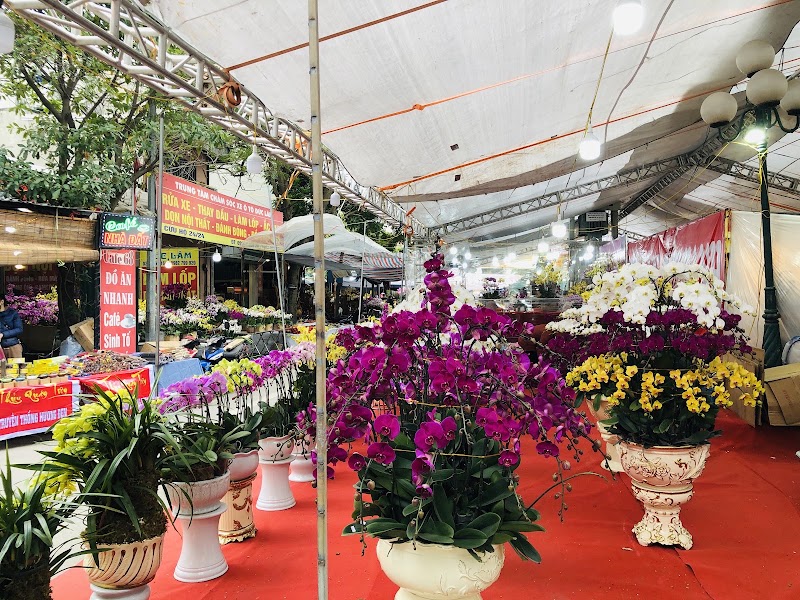 Vạn Phúc Flower Market - Vạn Phúc Flower Market, Đường Vạn Phúc, làng Vạn Phúc, Hà Đông, Hà Nội, Vietnam