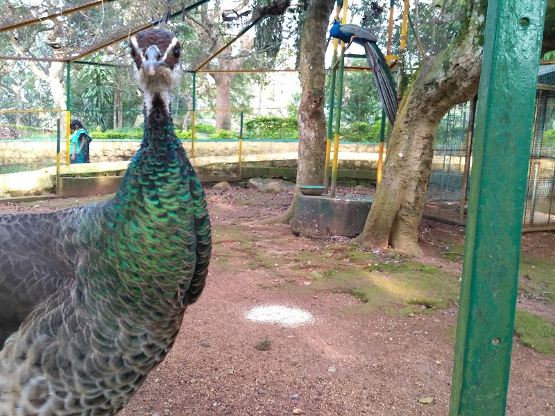 Yercaud Lake & Boat House (Emerald Lake) - Yercaud Lake & Boat House (Emerald Lake) Lake Road, Yercaud, Tamil Nadu 636602, India