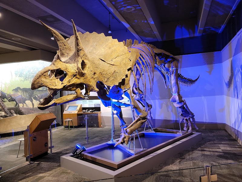 Museum of Science - Museum of Science, 1 Science Pk, Boston, MA 02114, USA
