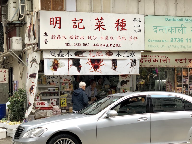 Ming Kee Seed - Ming Kee Seed, Hong Kong, Yau Ma Tei, Wing Sing Ln, 2號B