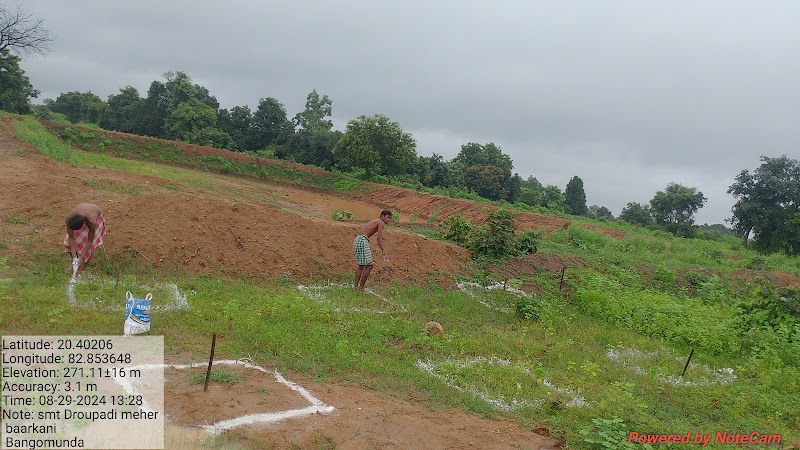 JP FISH AND FISH SEEDS FARM - JP FISH AND FISH SEEDS FARM, Ch, Bhalumunda, Chhatrang, Odisha 767060, India