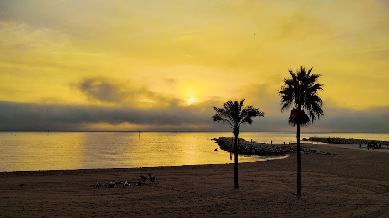 Passeig Marítim de la Barceloneta - Passeig Marítim de la Barceloneta, Pg. Marítim de la Barceloneta, Ciutat Vella, Barcelona, Spain