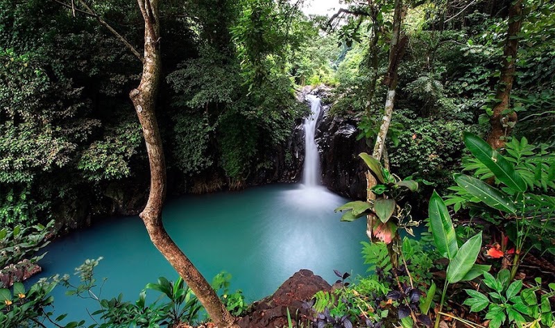 Aling-Aling Waterfall - Aling-Aling Waterfall, Sambangan, Sukasada, Buleleng Regency, Bali 81161, Indonesia