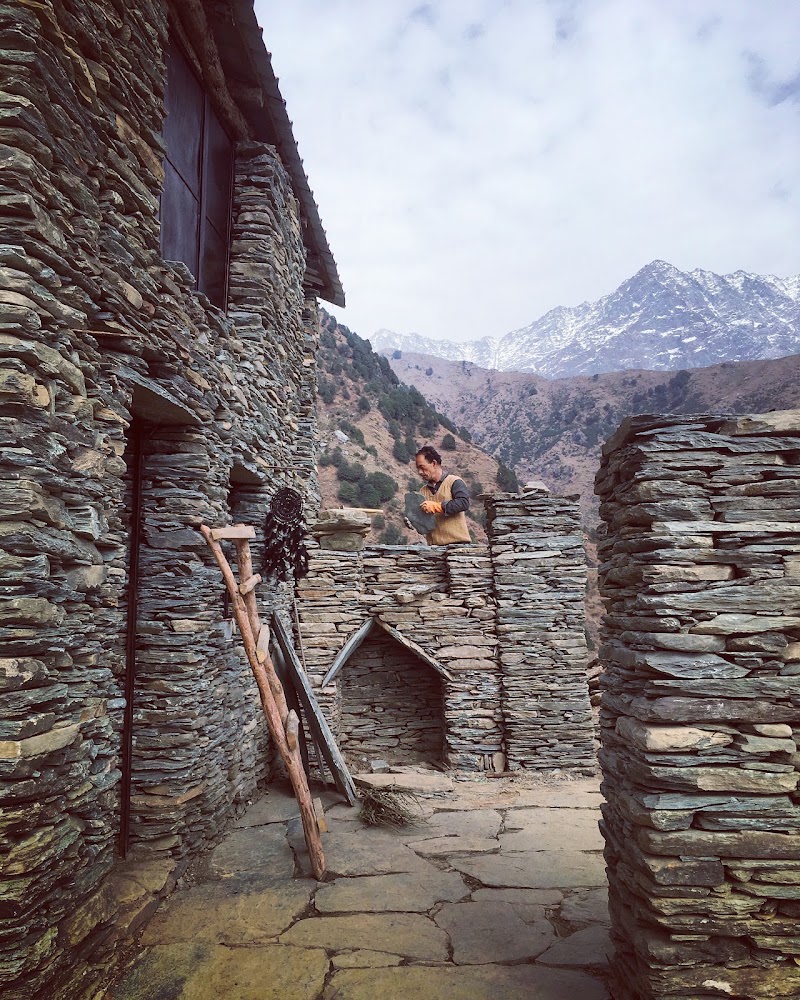 Black Swan Camps Triund