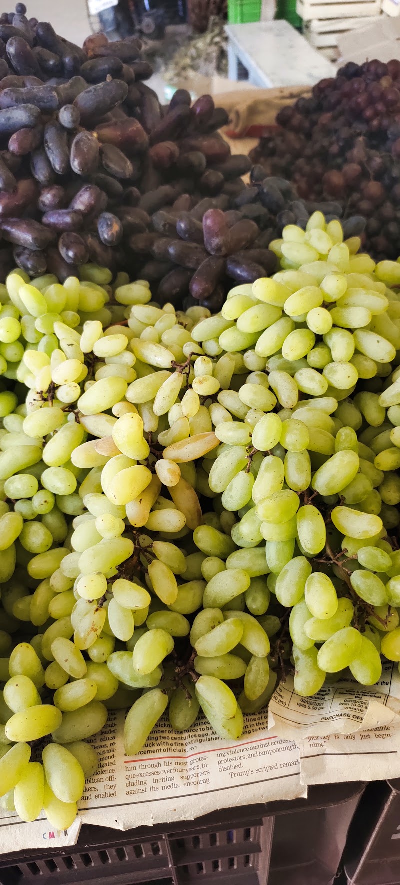 Kashmir Fruit Traders - Kashmir Fruit Traders Q46Q+W2P, Philomina Nagar, Thanjavur, Tamil Nadu 613006, India