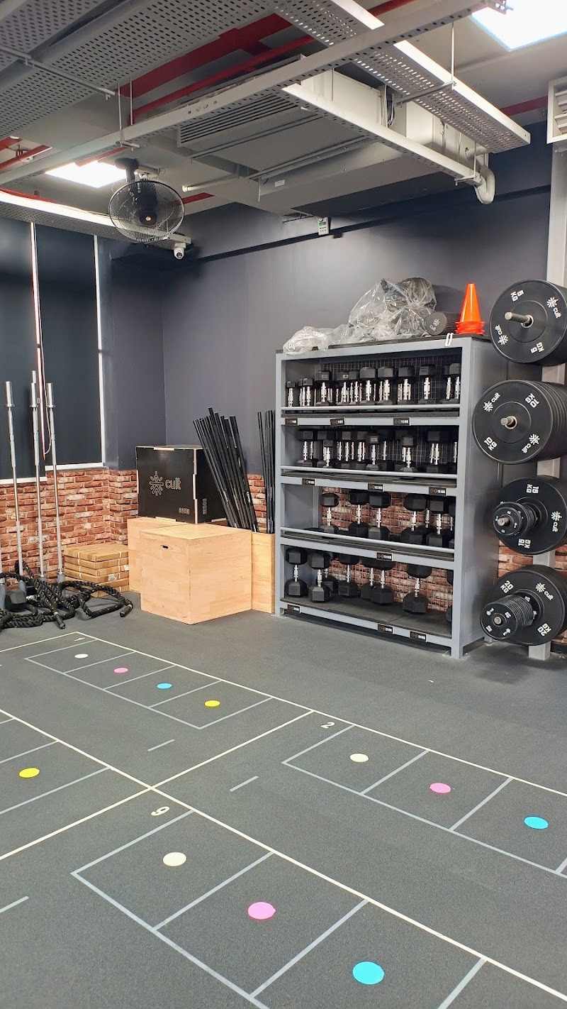 Cult Gym Kharadi | Best Gym in Kharadi, Pune - Cult Gym Kharadi | Best Gym in Kharadi, Pune, 1st floor, Grant Rd, EON Free Zone, Kharadi, Pune, Maharashtra 411014, India