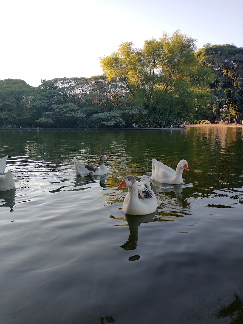 Parque Centenario - Parque Centenario, Av. Díaz Vélez 4859, C1405DCD Cdad. Autónoma de Buenos Aires, Argentina