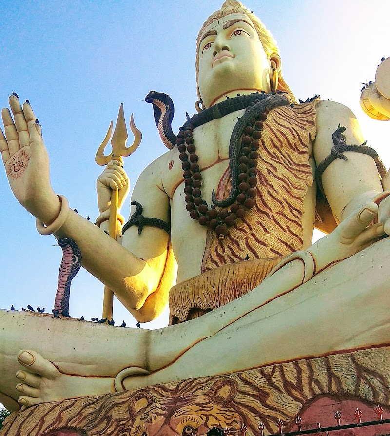 Daarukavanam - Daarukavanam, Gujarat 361335, India