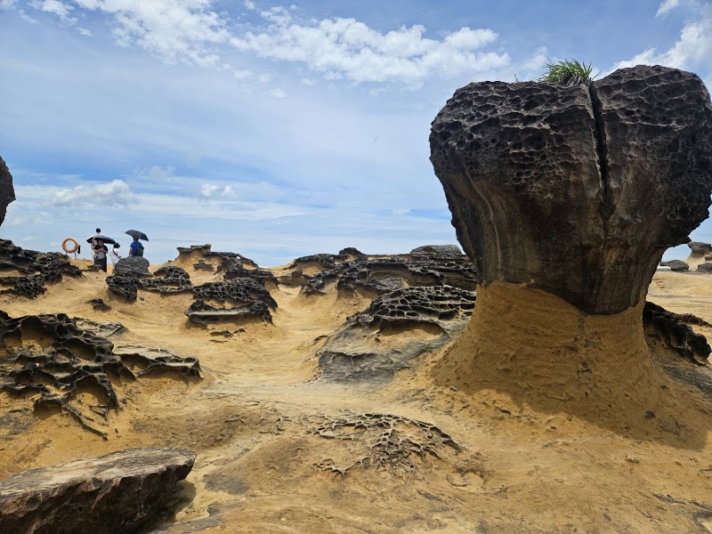 Yehliu Geopark - Yehliu Geopark, 207, Taiwan, New Taipei City, Wanli District, 港東路167-1號