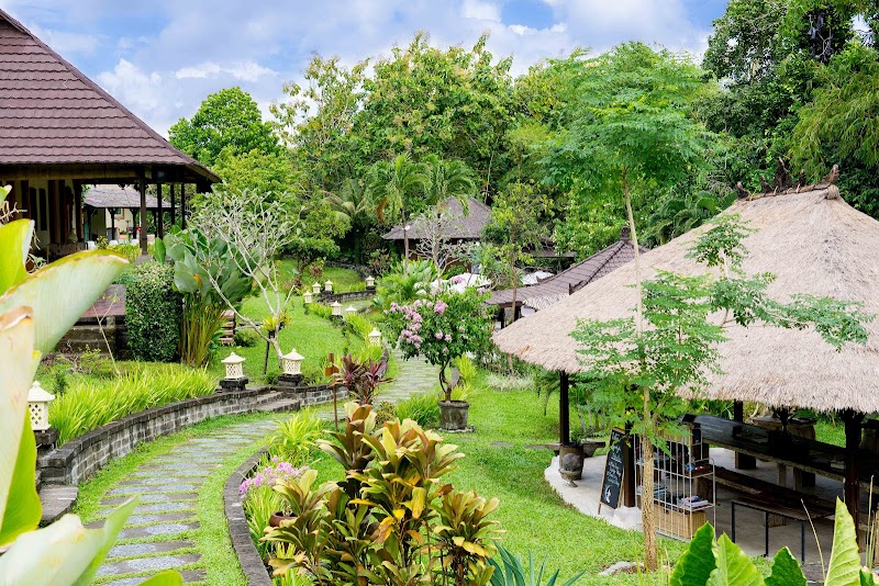 Mondo Surf Village - Surf Camp Canggu, Bali - Mondo Surf Village - Surf Camp Canggu, Bali Mondo Surf Camp Bali, Jalan Munduk Batu Belah, Gg Frangipani no: 9 Canggu, Pereranan, Pererenan, Kec. Mengwi, Kabupaten Badung, Bali 80361, Indonesia