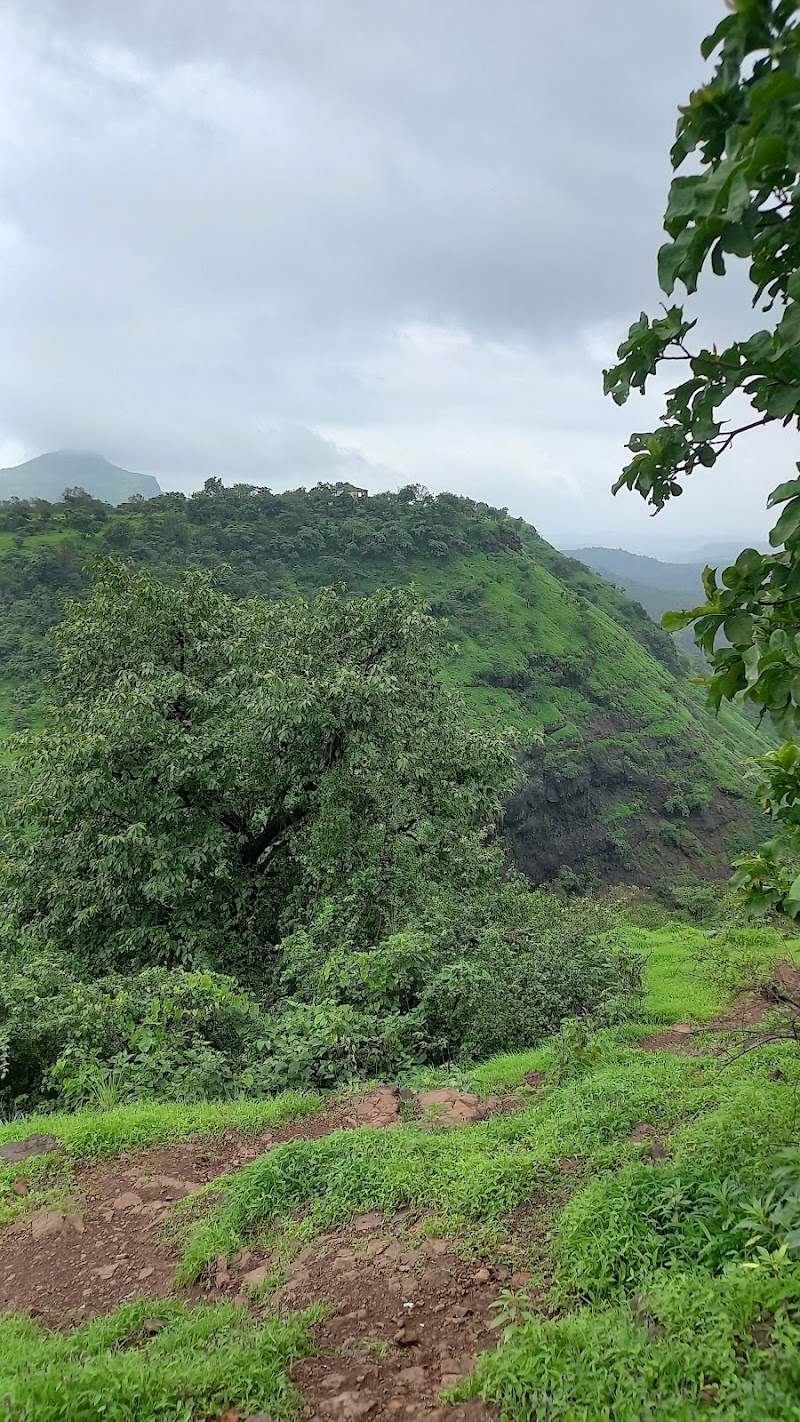Camel Valley Waterfalls - Camel Valley Waterfalls, MGVG+5G, Kasara Khu., Maharashtra 422403, India