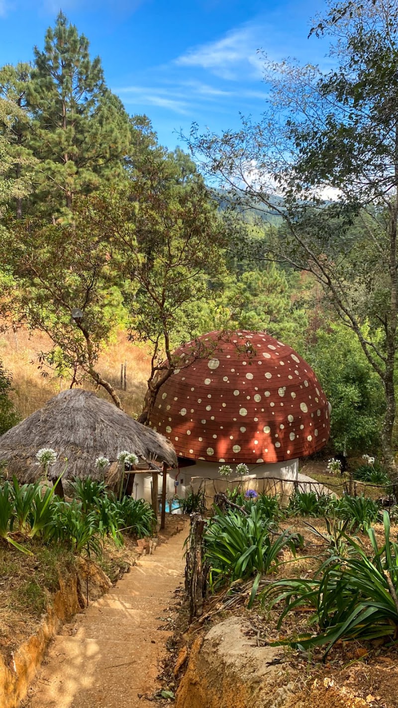 San Jose Pacífico - San Jose Pacífico Carretera Nacional Oaxaca a, Oaxaca - Puerto Angel km 132,5, Linda Vista, 70861 San José del Pacífico, Oax., Mexico
