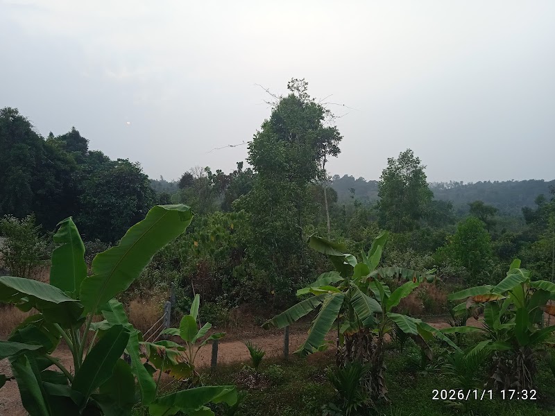 MS HOME STAY - MS HOME STAY M13°21'01.0, N 74°58, 25.3"E, near Sanvi Hollowblock Industries, Kantebettu, Kadthala, Karkala, Karnataka 574108, India
