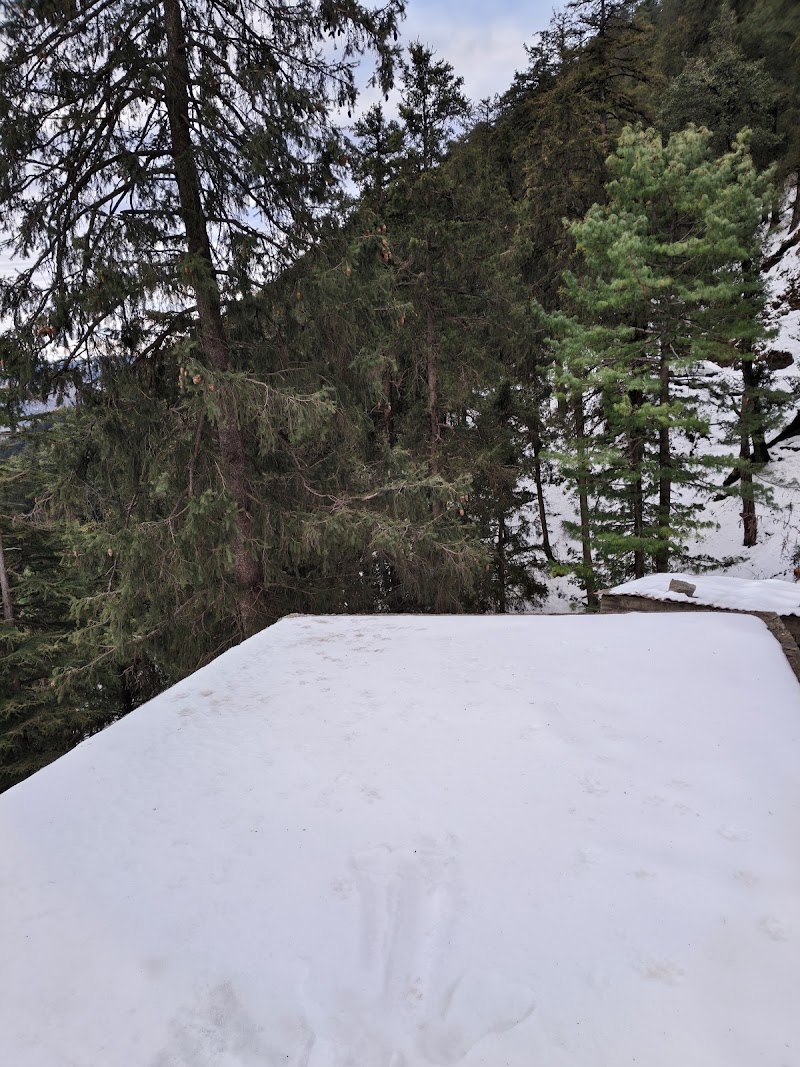 New Prem Jee's - New Prem Jee's Chowk, Mashobra, Himachal Pradesh 171007, India
