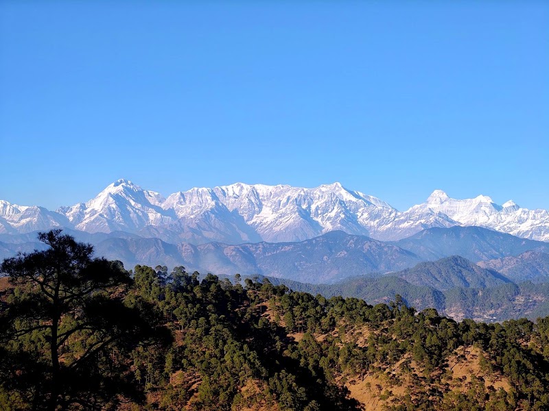 The Orchard at Peora Estates - The Orchard at Peora Estates Peora, Uttarakhand 263138, India