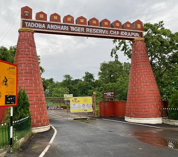 Tadoba-Andhari Tiger Reserve - Tadoba-Andhari Tiger Reserve Maharashtra, India