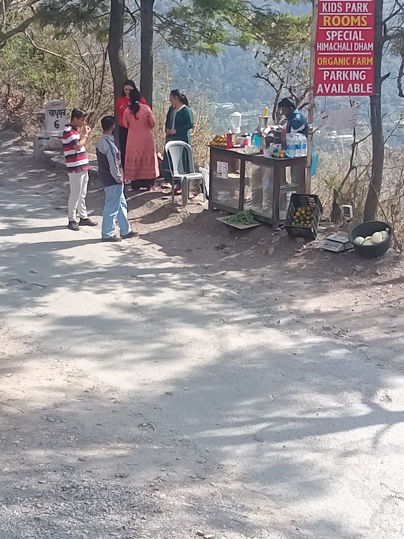 SunRise Guest House (हिमाचली धाम & Fast food) - SunRise Guest House (हिमाचली धाम & Fast food), Kairtoo, Kandaghat-Chail-Kufri Rd, Kandaghat, Himachal Pradesh 173215, India