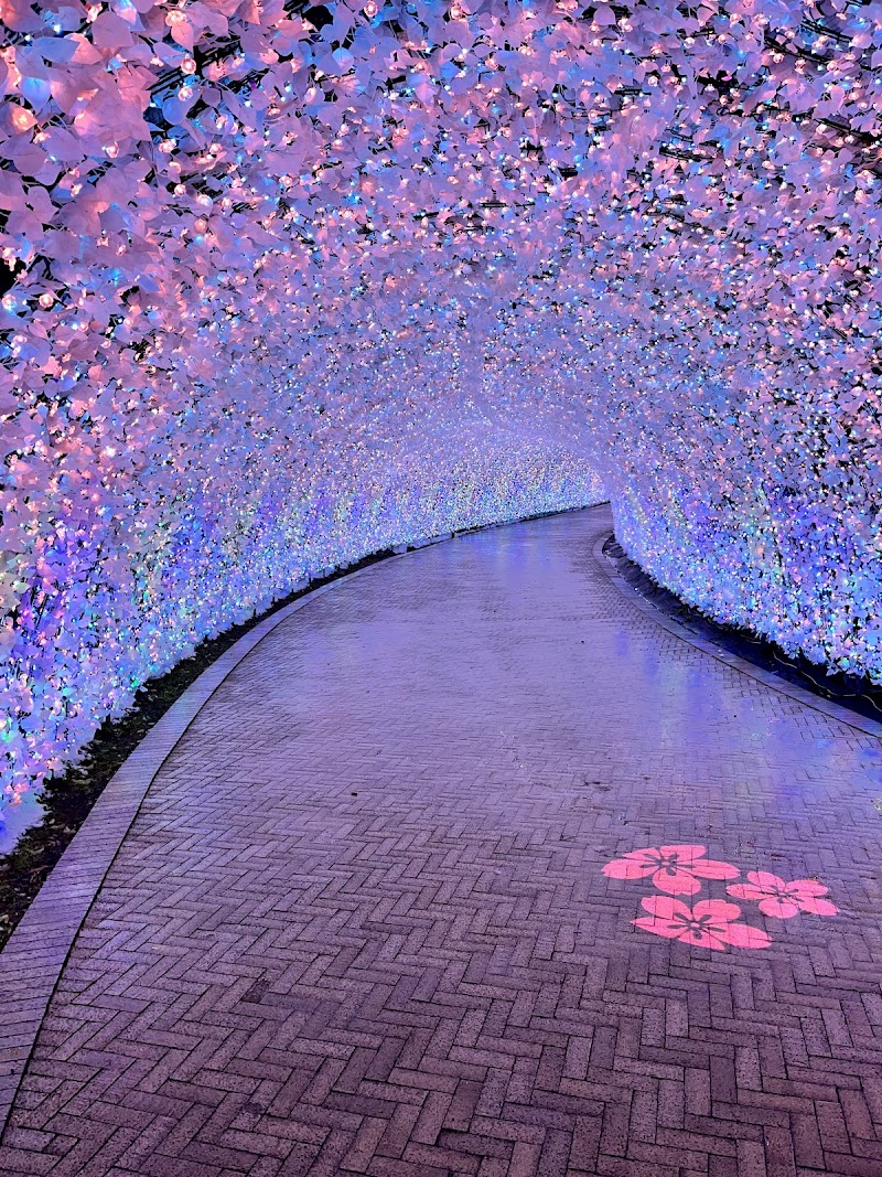 Corridor of Light / Tunnel of Light - Corridor of Light / Tunnel of Light 漆畑-270 Nagashimachō Komae, Kuwana, Mie 511-1144, Japan