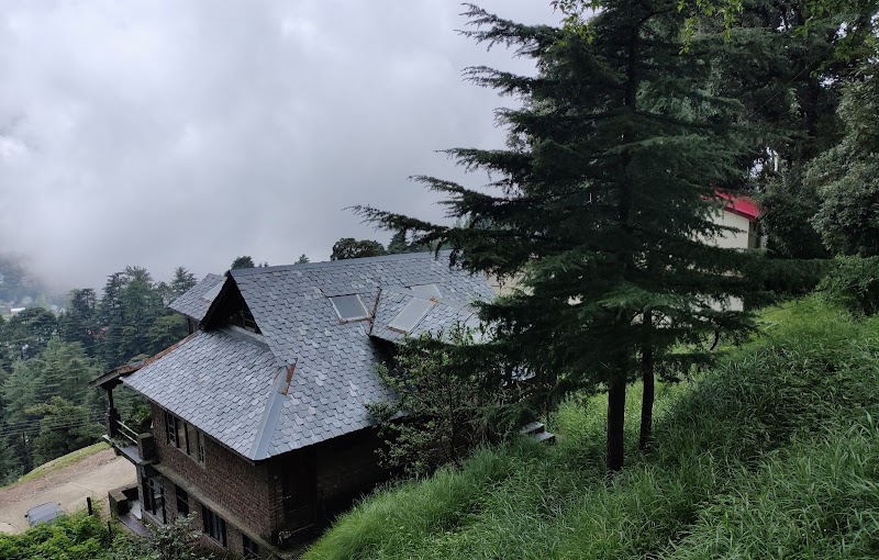 Naddi Castle Homestay - Naddi Castle Homestay Naddi, McLeod Ganj, Dharamshala, Himachal Pradesh 176216, India