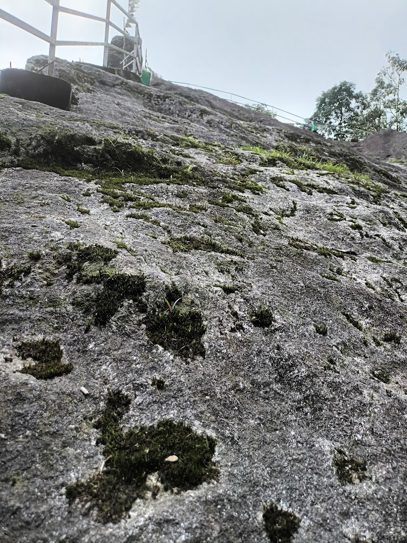 Vaktee Villa Rock Garden - Vaktee Villa Rock Garden 28HX+P38, Unnamed Road, Rangli Ranglot Tea Garden, West Bengal 734226, India