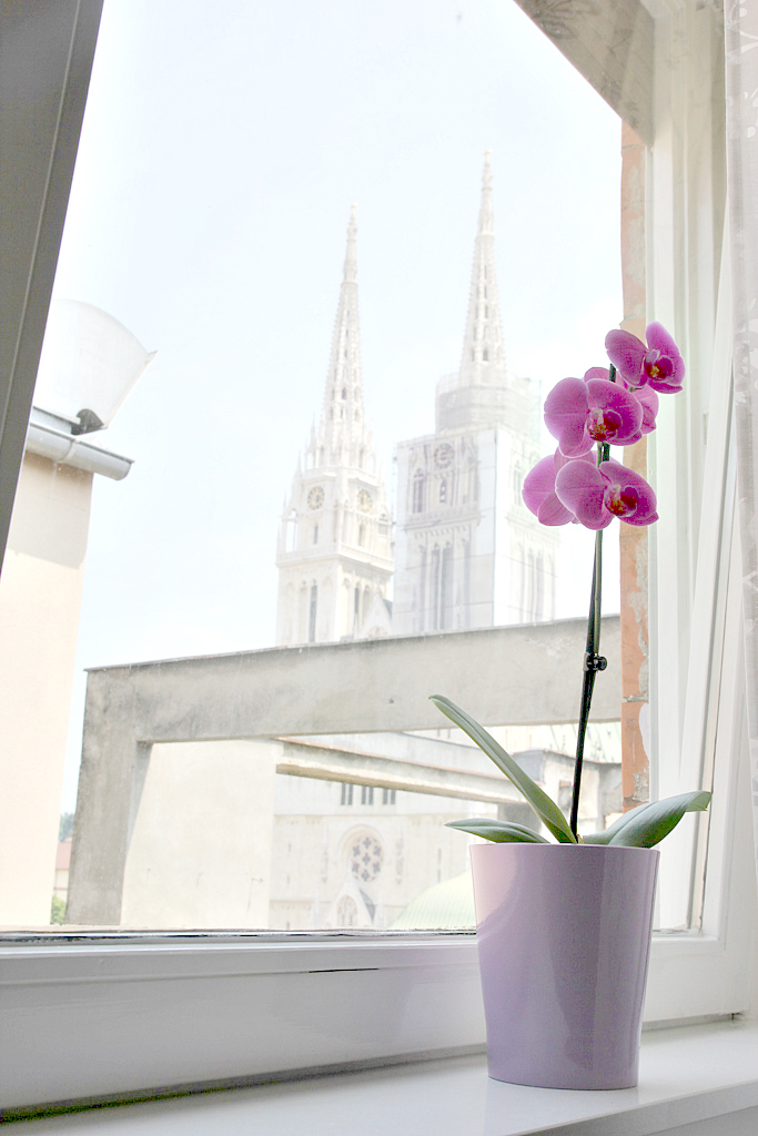 City of Hearts apartments 1&2 - City of Hearts apartments 1&2 Dolac 9, 10000, Zagreb, Croatia