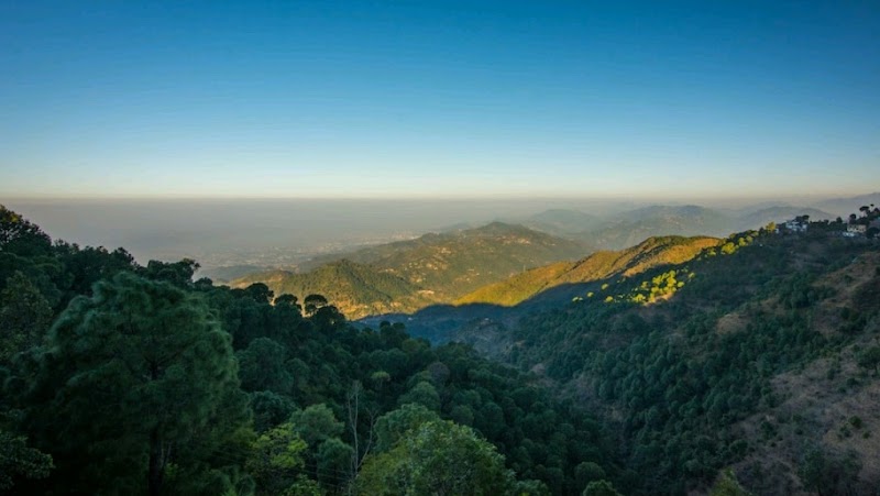 The Woods Kasauli - The Woods Kasauli Old, Parwanoo Kasauli Rd, Mashobra, Tehsil, Kasauli, Himachal Pradesh 173204, India