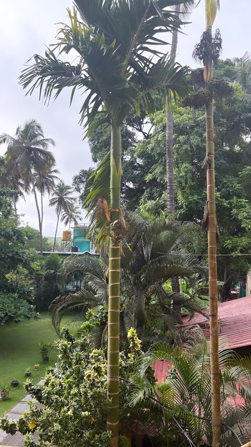 Yoga Teacher Training in Goa - AYM Yoga School - Yoga Teacher Training in Goa - AYM Yoga School AYM Yoga Goa, behind Lavish Restaurant, Girkarwada, Arambol, Goa 403524, India