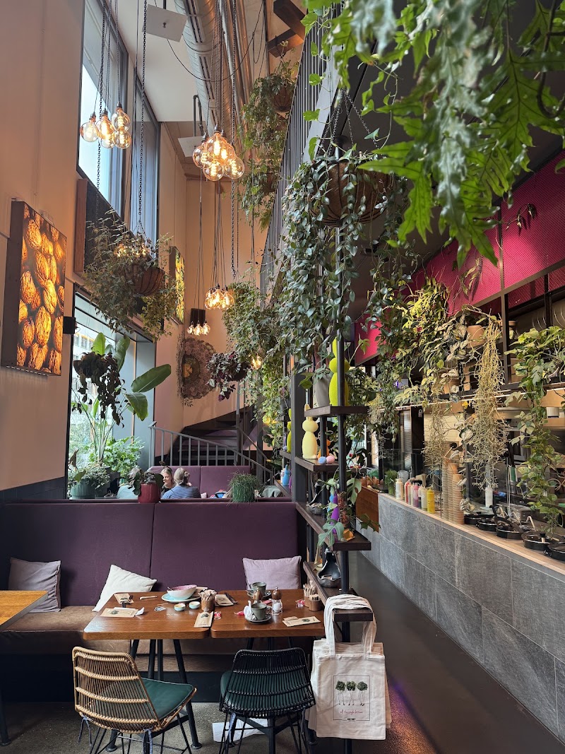 BEETNUT - BEETNUT Lagerstrasse 16b, 8004 Zürich, Switzerland