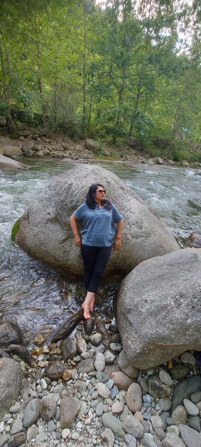 Tirthan River Mount View - Tirthan River Mount View Tirthan Valley Village Rikhli, P.o. Gushaini, Teh, Banjar, Chippni, Himachal Pradesh 175123, India