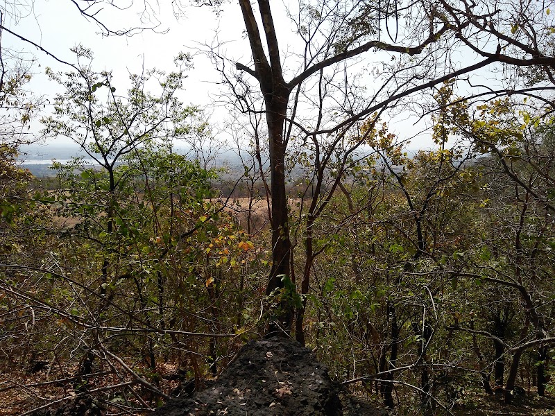 Ananthagiri Hills Viewpoint - Ananthagiri Hills Viewpoint, 8V26+MMM, Godamguda, Telangana 501102, India