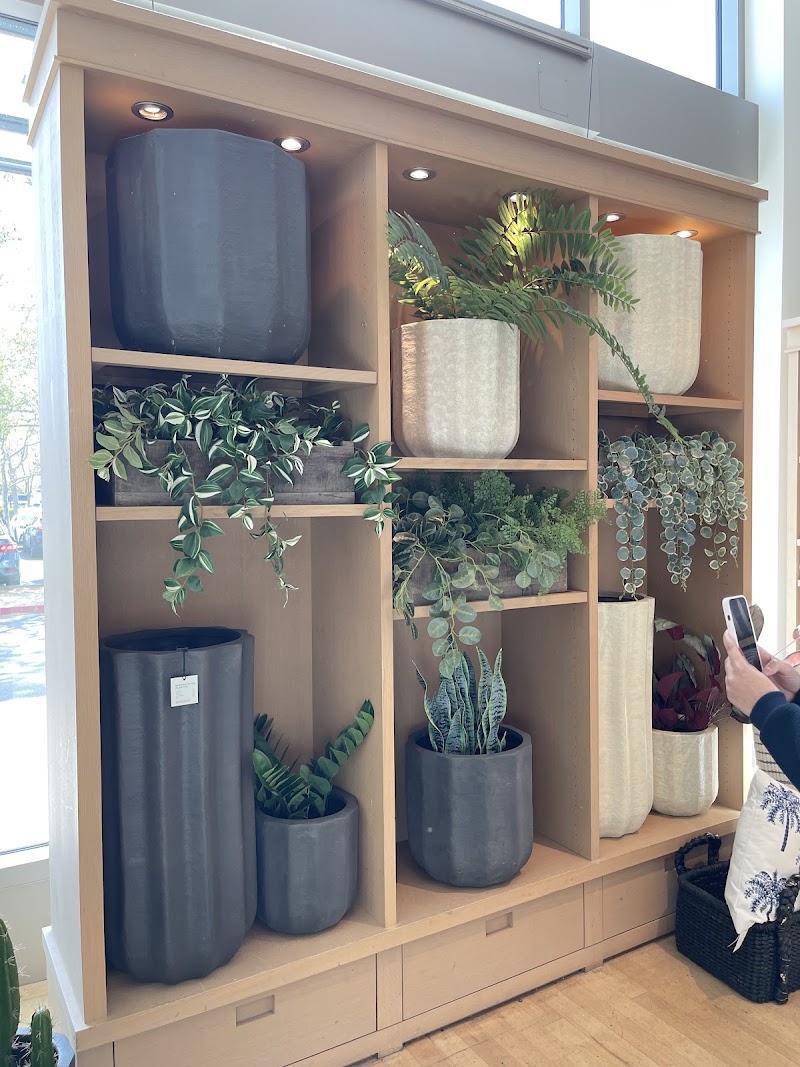 Pottery Barn