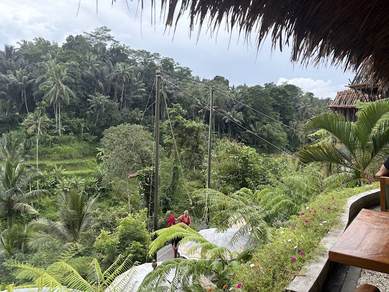 Tis Cafe - Tis Cafe Jl. Raya Tegallalang, Tegallalang, Kec. Tegallalang, Kabupaten Gianyar, Bali 80561, Indonesia