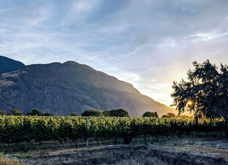 Crowsnest Vineyards - Crowsnest Vineyards 2035 Surprise Rd, Cawston, BC V0X 1C2, Canada