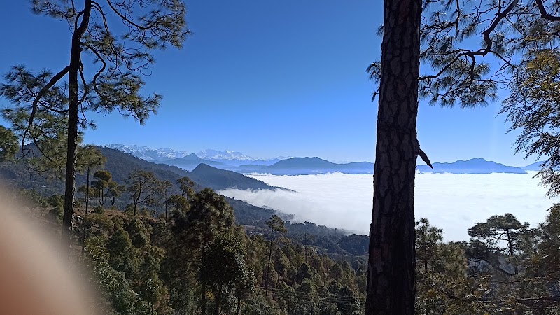 Chaukori - Chaukori, Uttarakhand 262531, India