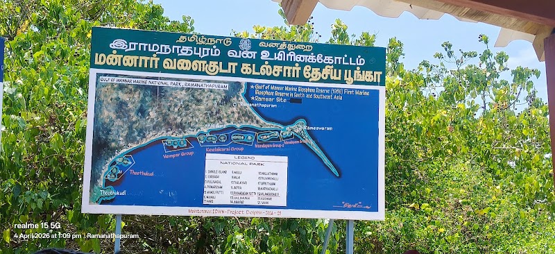 Pullivasal Island - Pullivasal Island, 65RM+2W, Pamban, Tamil Nadu 623518, India
