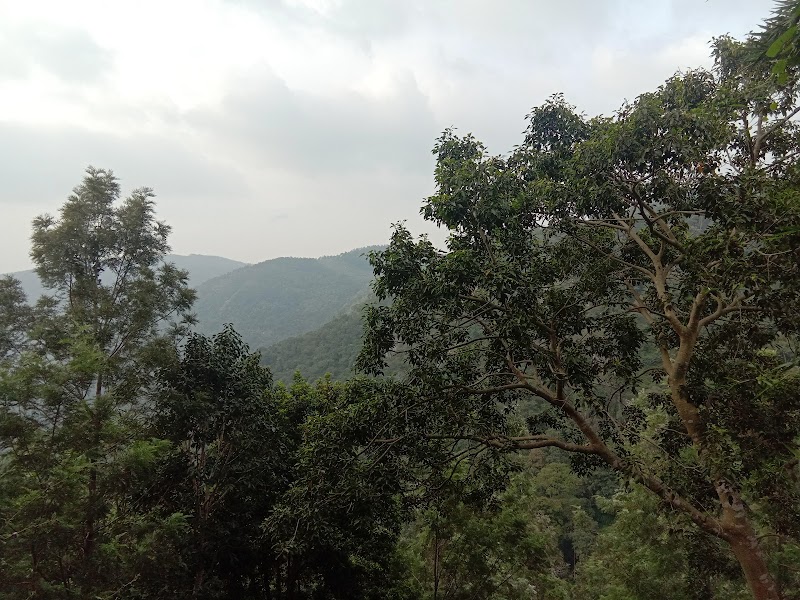 Kiliyur Falls - Kiliyur Falls Q6W2+CF7, Killiyur Road, Kiliyur, Tamil Nadu 636602, India