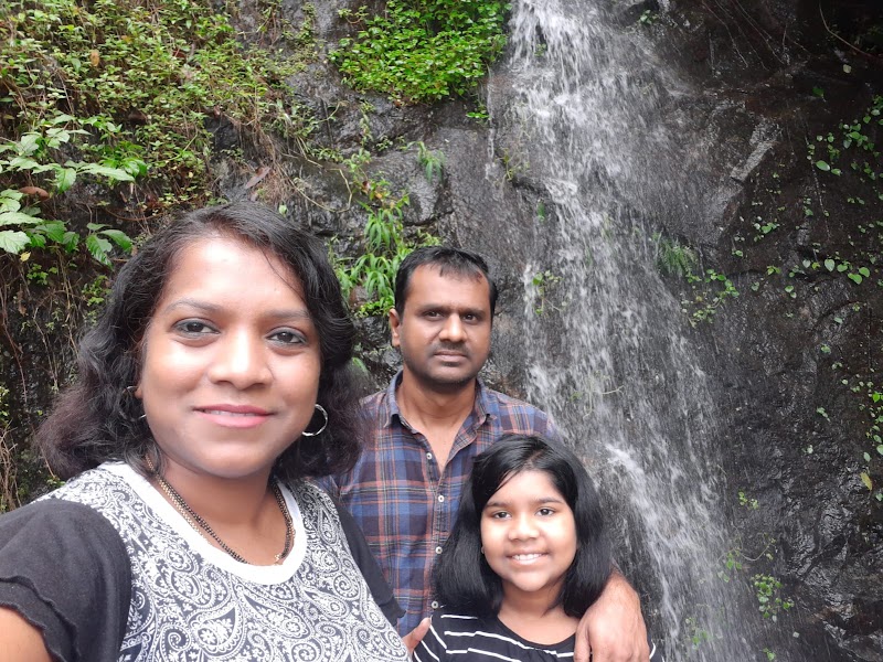 Bison Valley Waterfalls - Bison Valley Waterfalls 333F+3Q8, Bison Vly Rd, Pallivasal, Keralam 685612, India