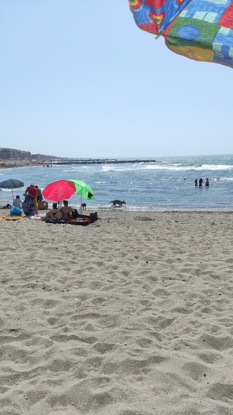 Spiaggia libera Grigia - Spiaggia libera Grigia, Lungomare Duca degli Abruzzi, 74, 00121 Lido di Ostia RM, Italy