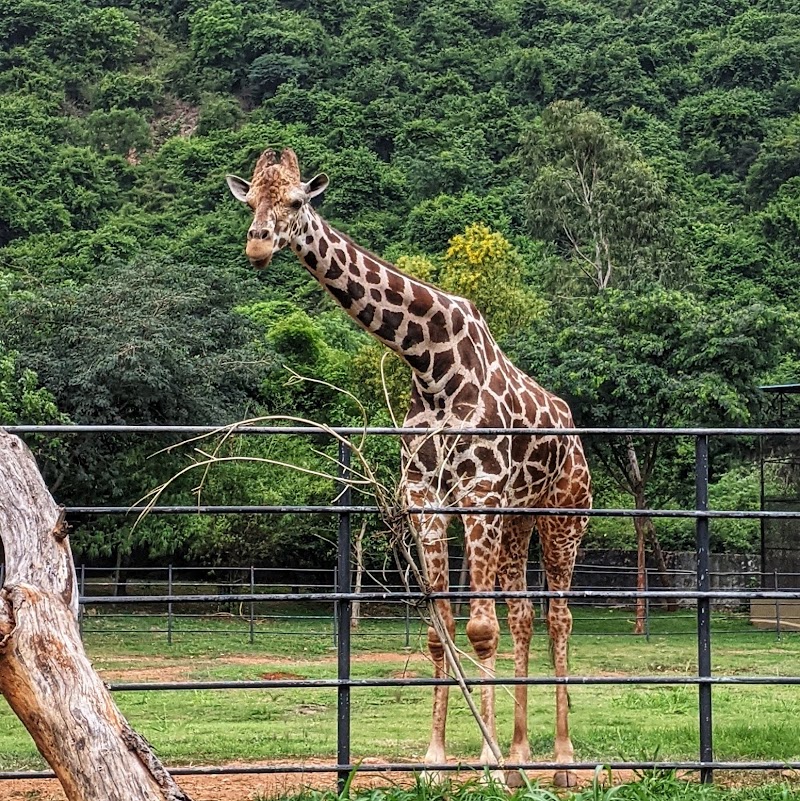 Indira Gandhi Zoological Park