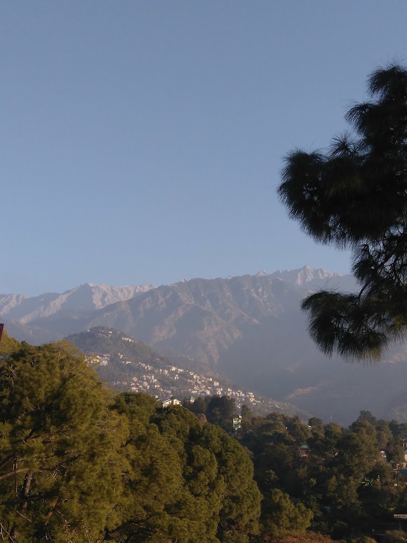 depot bazar - depot bazar, 684C+RF9, Depot-Bazar Rd, Chilgari, Dharamshala, Himachal Pradesh 176215, India