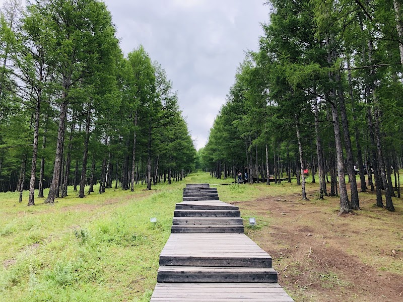 Moerdaoga National Forest Park - Moerdaoga National Forest Park, 8MJH+WVW, Ergun City, Hulunbuir, Inner Mongolia, China, 022291