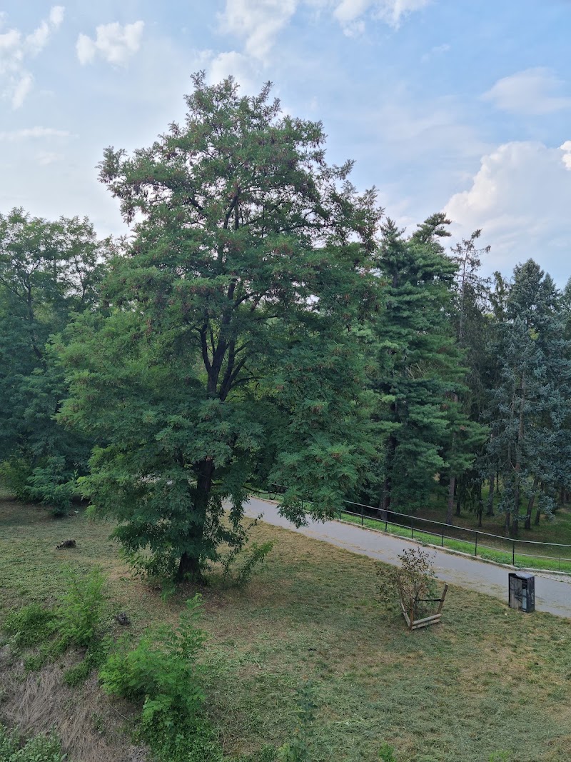 Park Stromovka - Park Stromovka, Královská obora Stromovka, Bubeneč, 170 00 Praha 7, Czechia