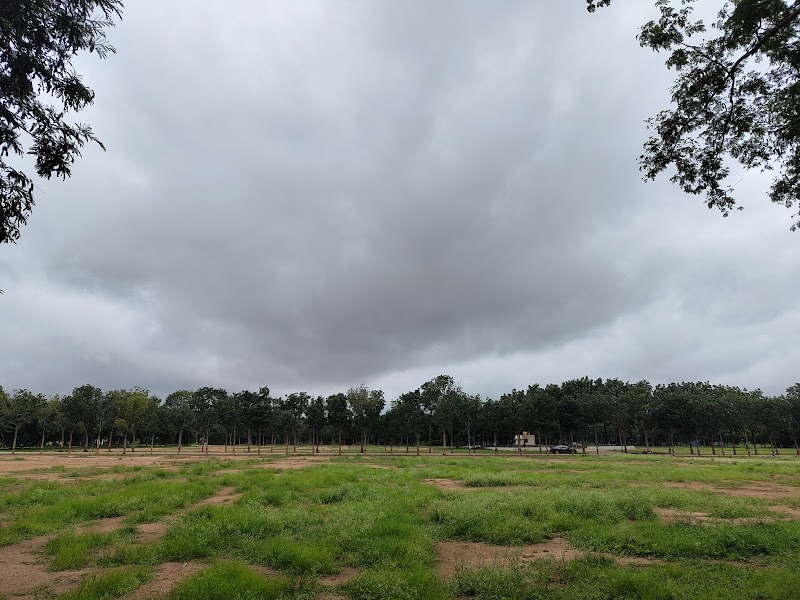 Fairly Dense Mixed Jungle - Fairly Dense Mixed Jungle 558, 22nd A Cross Rd, Vignana Kendra, Bengaluru, Karnataka 560065, India