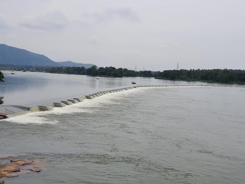 Bharachukki Waterfalls - Bharachukki Waterfalls, 75QM+4FM, Chamarajnagar, Sathegala, Karnataka 571417, India
