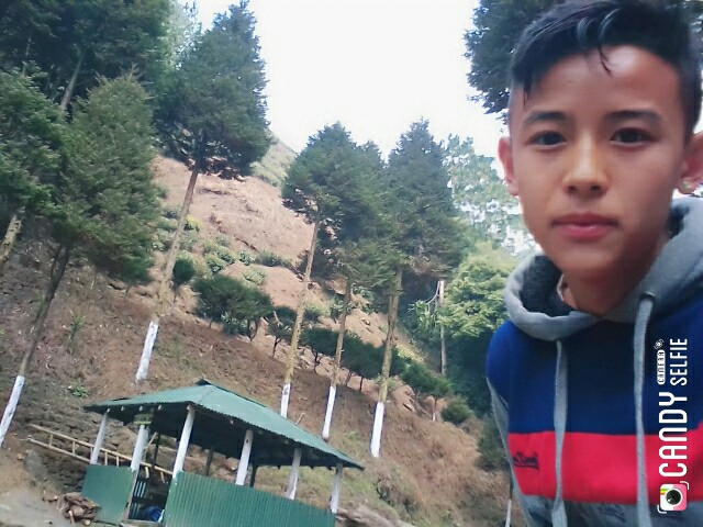 Bhalukhop Rock Garden - Bhalukhop Rock Garden X6VM+44, Pussinbong Tea Garden, West Bengal 734102, India