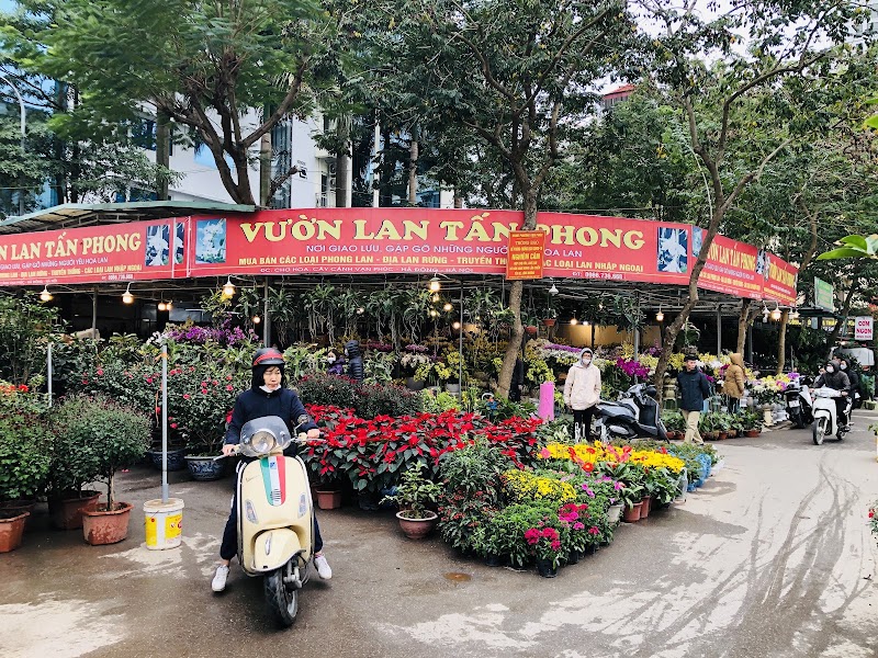 Vạn Phúc Flower Market - Vạn Phúc Flower Market, Đường Vạn Phúc, làng Vạn Phúc, Hà Đông, Hà Nội, Vietnam