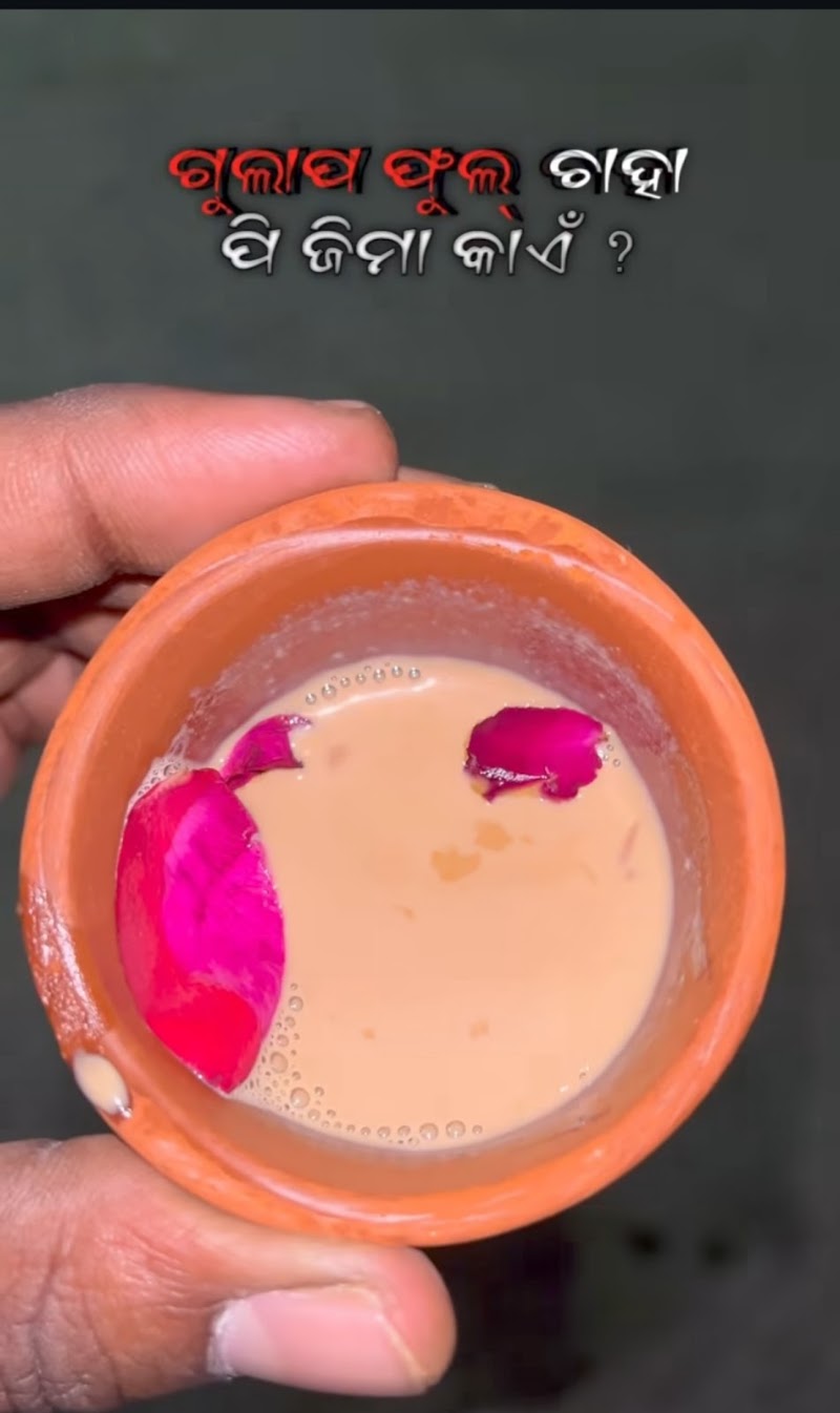 Rose Tea - Rose Tea, Samaleswari Mandir Rd, Ray Pada, Khetrajpur, Sambalpur, Odisha 768003, India