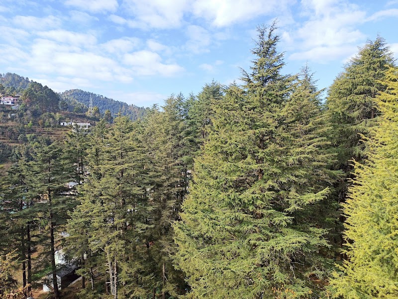 Chandak Hill - Chandak Hill, Chandak, Chandak R.F., Uttarakhand 262501, India