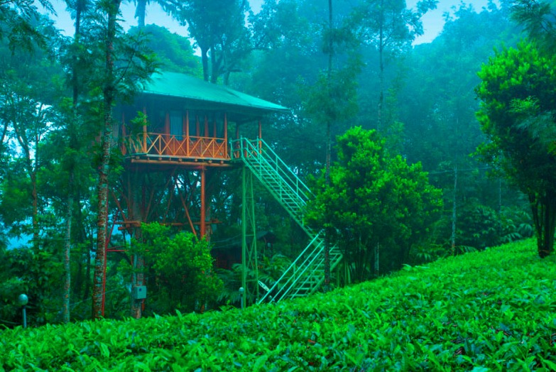 GoKerala Trip - GoKerala Trip, Pearl Complex, Palarivattom, Kochi, Kerala 682025, India
